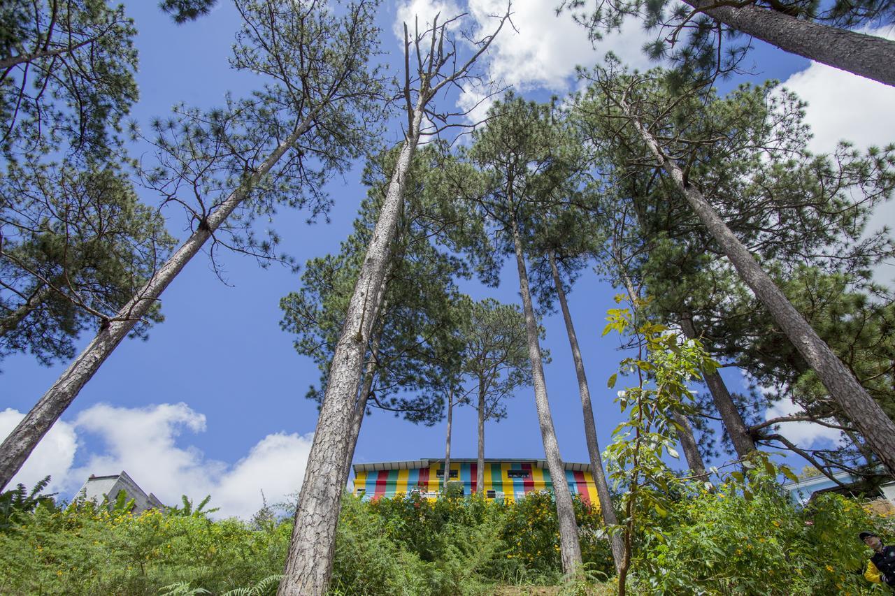 Icolor Dalat Hostel Eksteriør bilde